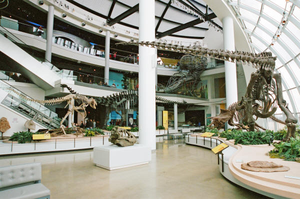 Dinosaur Hall